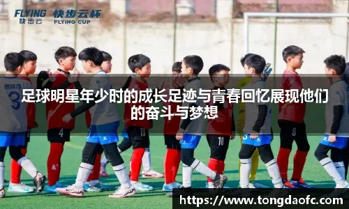 佩杜拉：帕拉迪诺渴望重返意甲，但佛罗伦萨并没有考虑他